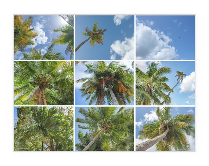 Featured listing image: Peace, photography collage by artist Elle Claire