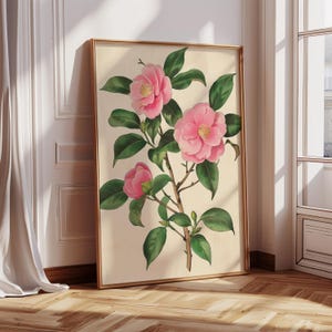 Elegant Pink Camellia Japonica Wall Art - Vintage Japanese Botanical Illustration | Minimalist Floral Decor, Instant Download