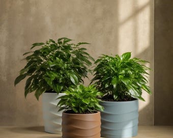 あらゆる種類の植物用のXXXLツイスト植木鉢（デザートサンズカラー