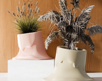 Maceta de interior "Botspin", maceta moderna para decoración del hogar con plato y bandeja de drenaje, disponible en 3, 4, 5 y 6 pulgadas, ideal como regalo de inauguración para mamá.