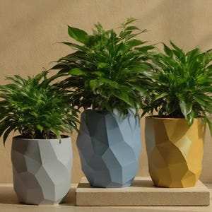 Peut inclure: Trois jardinières géométriques grises, bleues et jaunes, chacune remplie de plantes vertes vibrantes. Les jardinières ont un design à facettes, ajoutant une touche moderne au décor. Les plantes ont des feuilles vertes luxuriantes.
