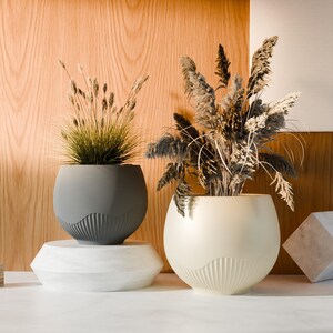 May include: Two rounded planters, one dark gray and one cream, featuring a smooth upper section and a ribbed lower base. The dark gray planter holds green grass-like stalks, while the cream planter contains dried, feathery brown botanical stems.