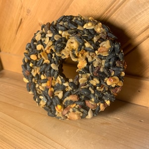 Suet Donut Stackers - Spicy Suet Cylinder - 4" Diameter x 1.5" Tall