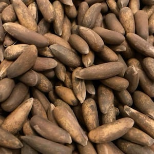 May include: Close-up of a pile of pine nuts. The nuts are oblong, with a light brown color and a slightly textured surface. The image is well-lit, showing the details of the nuts. The overall theme is food and natural ingredients.