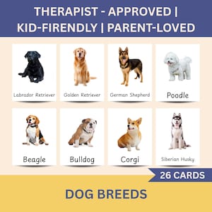 Flashcards sobre raças de cães para crianças | Cartões de aprendizagem Montessori para imprimir | Fotos de cães reais | PDF educacional para amantes de animais de estimação e educação domiciliar, TDAH