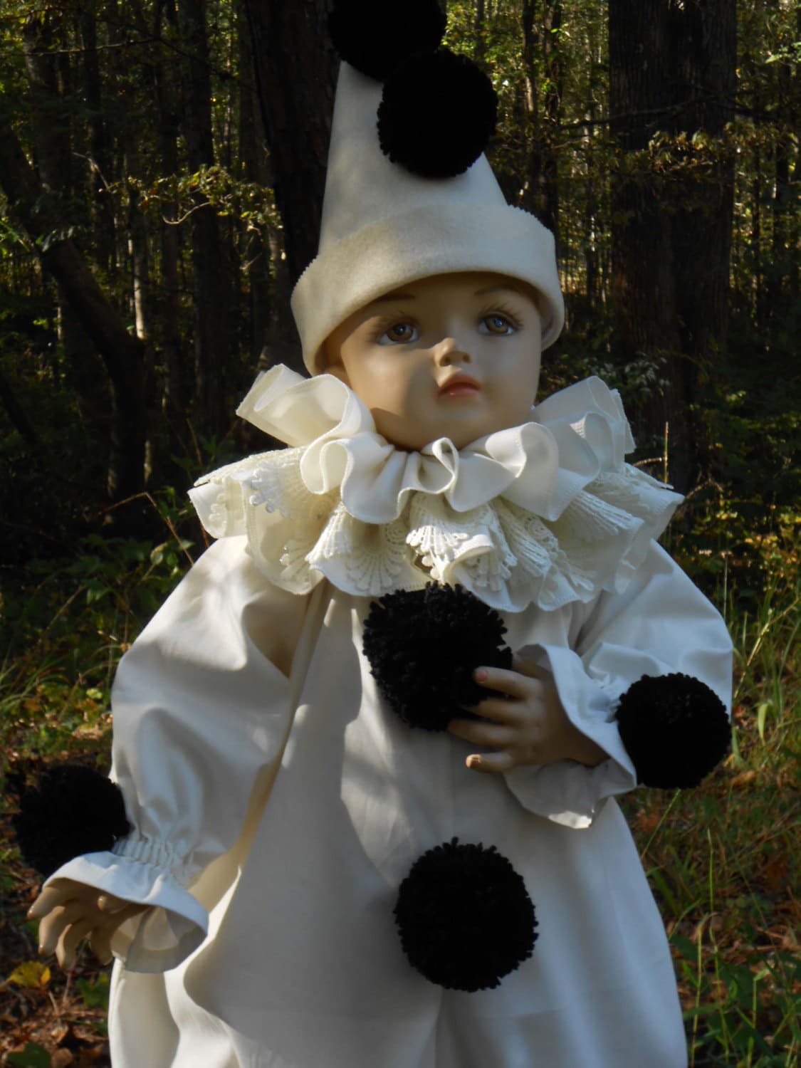 PIERROT Dictators CircusⅦ Amazon.co.jp: DICTATORS CIRCUS-A variant BUD-(初回): Music