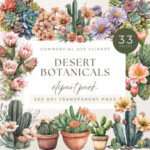 Pacchetto di clipart ad acquerello Desert Botanicals, cactus, piante grasse, fichi d'india, piante bohémien, fiori, download digitale istantaneo di PNG