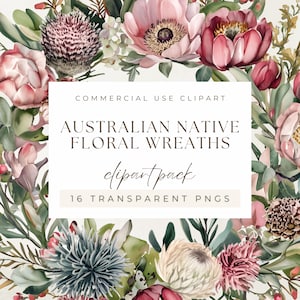 Australian Native Blumenkränze Aquarell Clipart, Wildblumen, Blumen, transparente PNGs, kommerzielle Nutzung, sofortiger digitaler Download