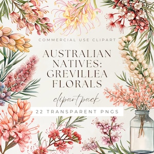 Australian Natives: Grevillea Florals Watercolor Clipart Pack, Aussie Nature Bush Colorful Botanical Bouquet, Transparent PNG Spider Flowers
