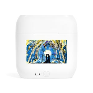 Wireless Earbuds with Artistic Charging Case, Bluetooth Earbuds, Gift for Music Lovers, Travel Accessories, Birthday Present