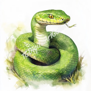 Clipart de Serpiente – Paquete de Serpientes en Acuarela, 25 JPG de Alta Resolución para Tarjetas, Scrapbooking y Manualidades Digitales
