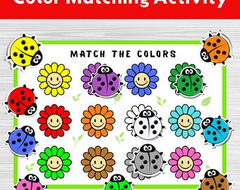 Farb Memory Spiel zum Ausdrucken, Montessori-inspirierte Lernaktivität für Kinder, Sofort-Download, Vorschul- und Kindergartenlernen