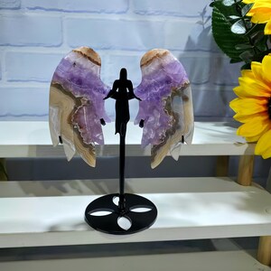crystal healing
animal carving
eagle claw
reiki crystal tool
totem carving
energy talisman
stone animal
meditation stone
carved crystal
birthstone gift
energy crystal
Angel Wings
Amethyst Agate