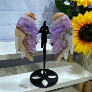 crystal healing
animal carving
eagle claw
reiki crystal tool
totem carving
energy talisman
stone animal
meditation stone
carved crystal
birthstone gift
energy crystal
Angel Wings
Amethyst Agate
