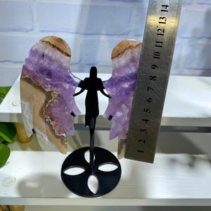 crystal healing
animal carving
eagle claw
reiki crystal tool
totem carving
energy talisman
stone animal
meditation stone
carved crystal
birthstone gift
energy crystal
Angel Wings
Amethyst Agate