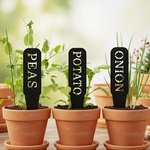 Könnte beinhalten: Drei schwarze Gartenstecker aus Metall mit ausgeschnittenen Buchstaben. Jeder rechteckige Stecker trägt das Wort PEAS, POTATO oder ONION und steckt in einem Terrakottatopf mit einer grünen Pflanze zur Kennzeichnung der Gartenkulturen.