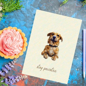 Biglietto stampabile con cane – “Stay Pawsitive” – Biglietto divertente per compleanno – Download digitale – Busta A7 inclusa