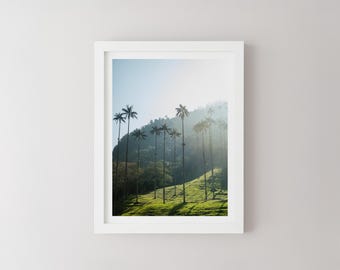Cocora Valley Print, Colombia South America, Colombian Landscape Photography, Travel Wall Art, Travel Poster