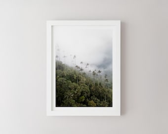Cocora Valley Print, Colombia South America, Colombian Landscape Photography, Travel Wall Art, Travel Poster