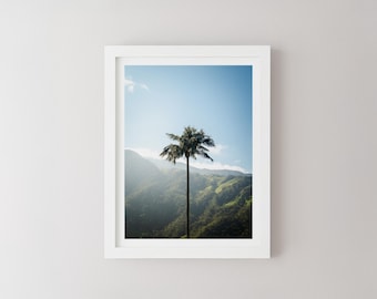 Cocora Valley Print, Colombia South America, Colombian Landscape Photography, Travel Wall Art, Travel Poster