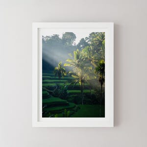 Impresión de los arrozales de Tegallalang, Bali Ubud, fotografía de paisajes indonesios, arte mural minimalista, póster de viaje