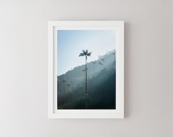 Cocora Valley Print, Colombia South America, Colombian Landscape Photography, Travel Wall Art, Travel Poster