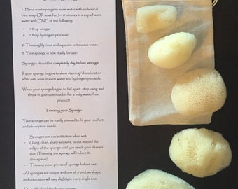 May include: A collection of natural sea sponges in various shapes and sizes, with a small drawstring bag. A card with instructions for use is also included. The sponges are a light yellow color and are displayed on a dark surface.