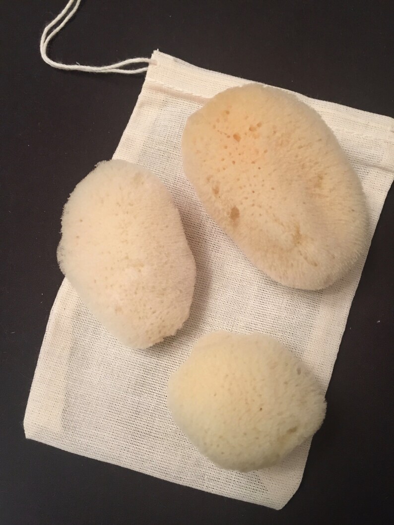 Natural Sea Sponges Menstrual Care Waste Free Period Choose Etsy