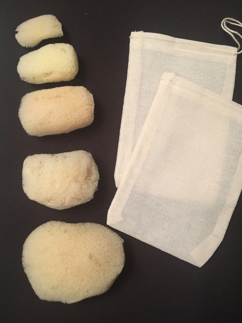 Natural Sea Sponges Menstrual Care Waste Free Period Full Etsy