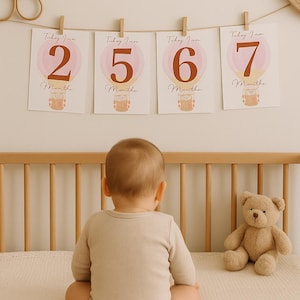 Cartes d'étapes neutres pour bébés imprimables, accessoire photo mensuel en montgolfière, jalons de 1 à 12 mois, téléchargement immédiat
