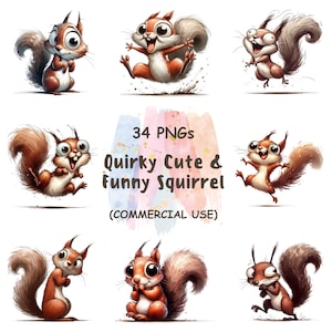 May include: A collection of cartoon squirrel illustrations in various poses. The squirrels are depicted with large eyes, fluffy tails, and a range of expressions. Text on the image reads "34 PNGs Quirky Cute & Funny Squirrel (Commercial Use)".