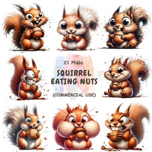 May include: Nine cartoon squirrel illustrations, each depicted with a nut. The squirrels have orange and brown fur, with large eyes and playful expressions. The image includes the text "21 PNGs SQUIRREL EATING NUTS (COMMERCIAL USE)".