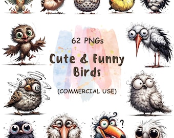 Funny Watercolor Birds Clipart – 62 Quirky PNGs (Digital Download)