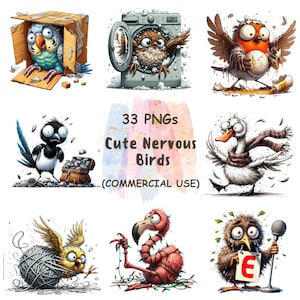 Nerwowe Ptaki Clipart – 33 PNG | Słodkie i Zabawne Twarze Ptaków | Akwarele Emocje Kreskówek do Rzemiosła | Pobieranie Cyfrowe | Użytek Komercyjny