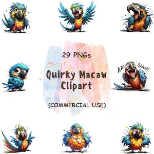 Watercolor Macaw Clipart Bundle: 29 Funny Parrot PNGs (Digital Download, Commercial Use)