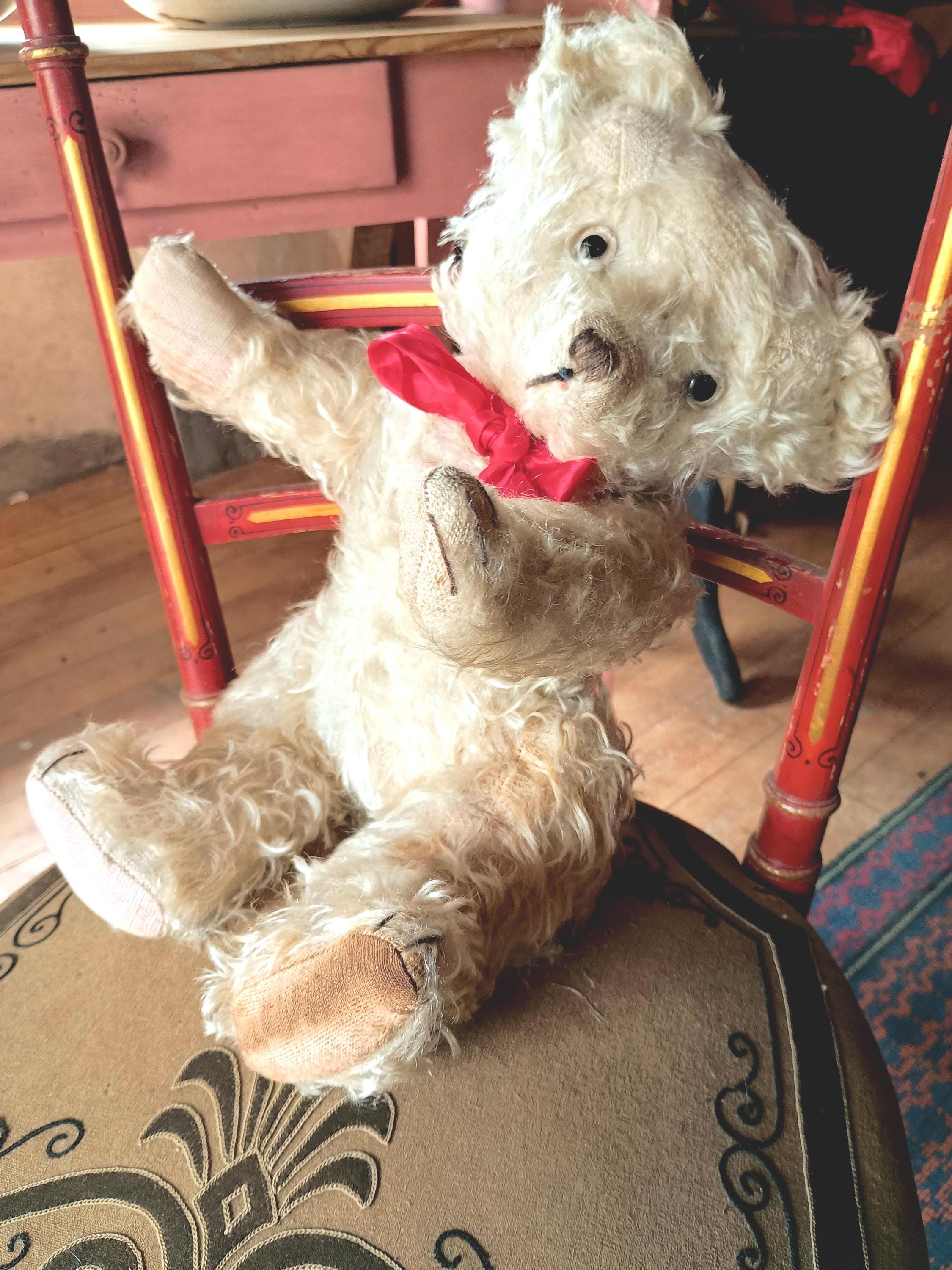 Antique french bear - Etsy 日本