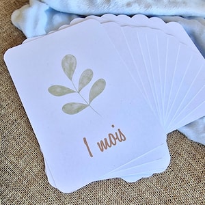 Cartes étapes bébé feuille aquarelle - kit 12 Cartes mois par mois - design nature minimaliste - souvenirs photos naissance