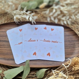 Cartes étapes bébé cœur terracotta clair - cartes mois anniversaire - souvenir photo naissance à 1 an.