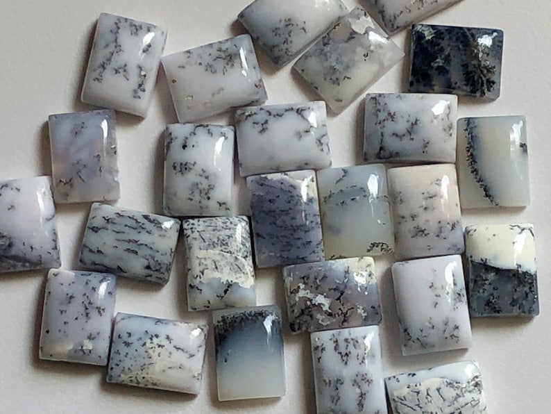 5 Pcs Dendrite Opal Rectangle Cabochon Loose Dendrite Gemstones ADG161 12x16mm Natural Dendrite Opal Plain Rectangle Flat Back Cabochons