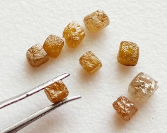 Puede incluir: Una colección de ocho pequeños diamantes marrones y transparentes facetados, algunos de los cuales tienen forma cuadrada. Los diamantes están dispuestos sobre una superficie blanca.