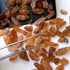 May include: A collection of small, rough, brown gemstones, some with a reddish hue, scattered on a white surface. The gemstones are arranged in a random pattern, with some overlapping. A pair of tweezers is visible in the image, suggesting that the gemstones are being sorted or examined.