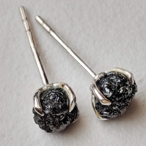 May include: A pair of silver stud earrings with black diamond accents. The diamonds are rough and have a natural, unpolished look.