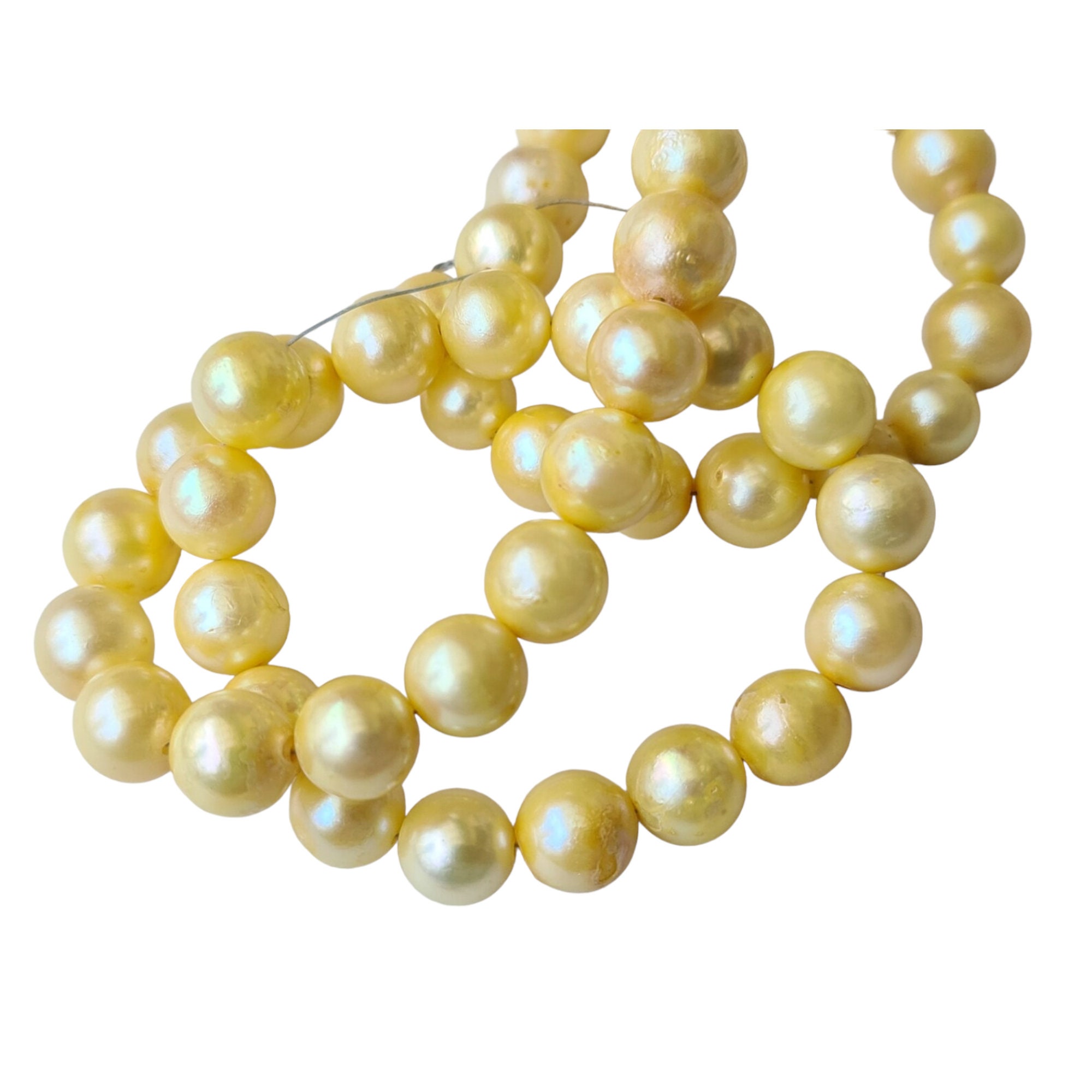 7.3mm 7.7mm Yellow Gold Color Pearls, Sea Cultured Rondelle Pearls, Gold  Pearls, 7 Inch Gold Strand Pearl for Jewelry APH72 