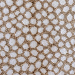 Beige Snow Velvet Velvet Fabric By The Yard / Metre, Jacquard Velvet Fabric,Upholstery Fabric,Wholesale Fabric,Cut Velvet,Fabric For Pillows
