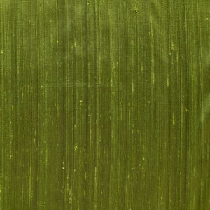 Olive Green/Multicolor Embroidered Dupioni Silk main image 1