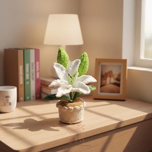 Puede incluir: Una flor de lirio de ganchillo hecha a mano en una pequeña maceta tejida. El lirio presenta pétalos blancos, hojas verdes y un centro amarillo. La maceta es beige con un ribete decorativo. La flor está sobre una superficie de madera, con una lámpara y libros al fondo.