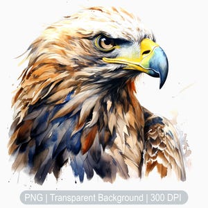 Eagle Clipart, Eagle Face, Watercolor Eagle png, Bald eagle illustration, American Eagle clipart, Sublimation graphics print, Art Prints