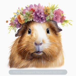 Watercolor Guinea Pig Clipart, Cute Floral Guinea pig, Guinea pig png, Printable graphics Sublimation, transparent png, Animal Art Print