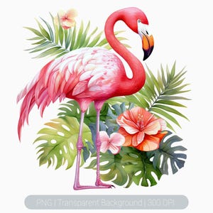 水彩フラミンゴのクリップアート - 花と葉のある熱帯の鳥、ビーチフラミンゴ、昇華グラフィック、透明な背景のpng