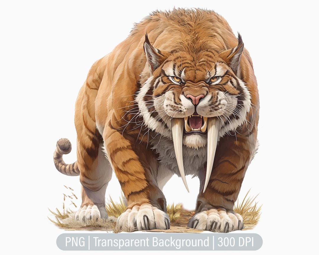 Smilodon Tiger Clipart, Cave Man PNG, Cave Art, Stone Ice Age Animals ...